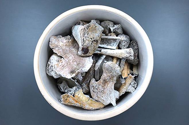 2005년 3월 경상북도 포항시 북구 흥해읍 학천리 도음산 정상에서 발굴한국군 제3사단 소속의 고(故) 정용환 일병의 유해.