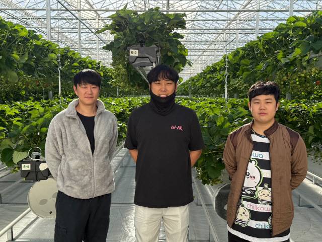 ▲ 2 1일 양구 해안면 임대형 스마트팜 A구역에서 딸기를 재배 중인 청년농 전인호(사진 왼쪽), 진국희(가운데), 김재현 씨.