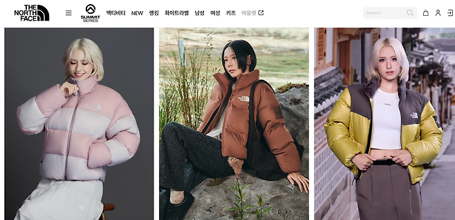 노스페이스 홈페이지 갈무리