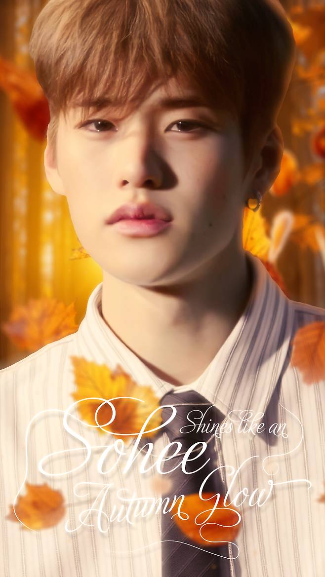 The winning piece of fan art celebrating Sohee's selection as the K-pop artist who has the most “autumn-like personal color.″ [PICNIC]