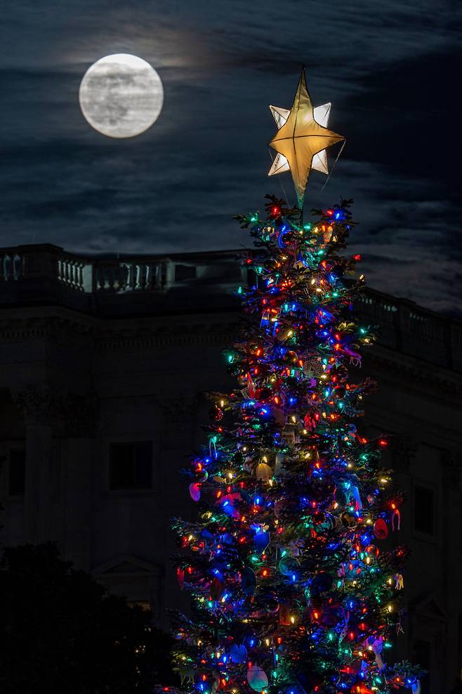 [워싱턴=AP/뉴시스] 4일(현지 시간) 미국 워싱턴에서 올해 마지막 보름달인 ‘콜드 슈퍼문’이 의사당 앞 크리스마스트리 뒤로 떠오르고 있다. 2025.12.05.