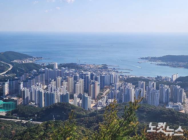 부산시가 2025 부산사회조사결과를 발표했다. 박상희 기자