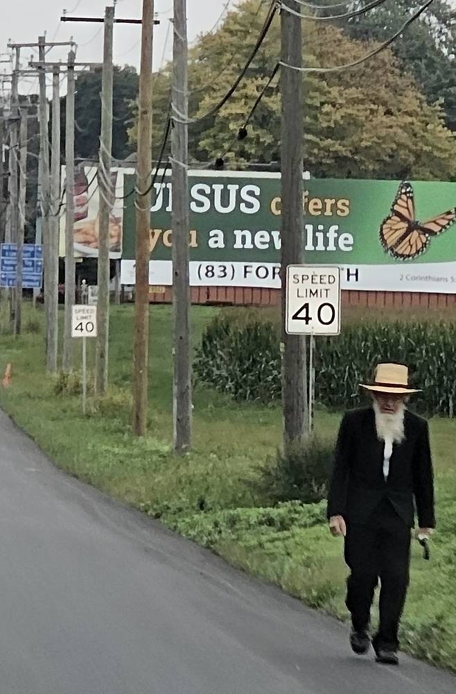 자동차를 거부해 걷거나 마차를 타고 이동하는 아미시 마을. 손호철 제공