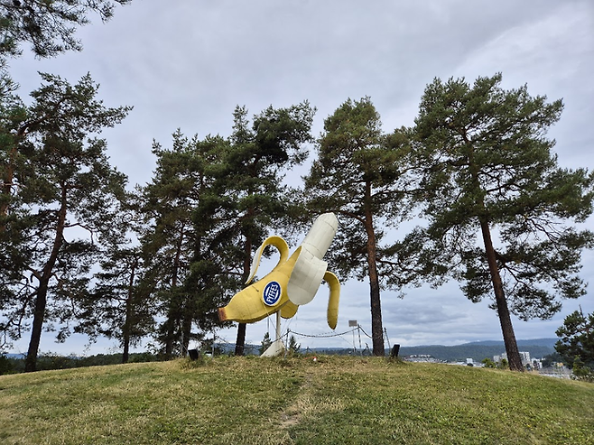 헤니 온스타드 아트센터는 야외 조각 공원에 있는 필립스타드 바나나 조각이 유명하다. ©김슬기