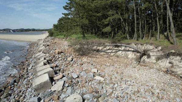 운여해변 침식 [녹색연합 제공. 재판매 및 DB금지]