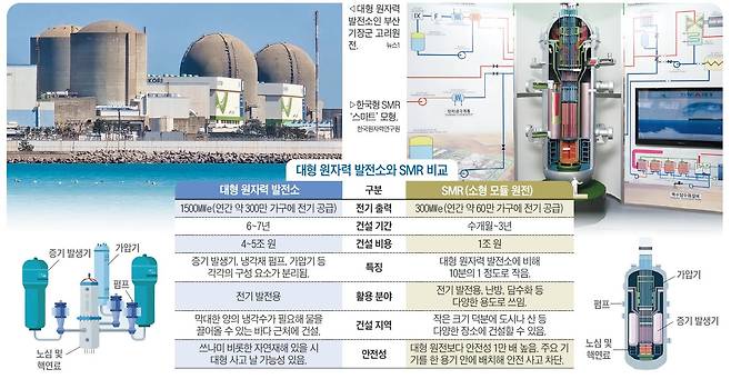 대형 원자력 발전소와 SMR 비교