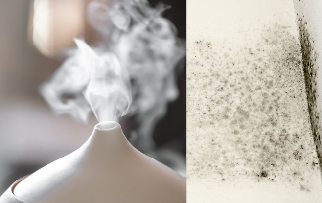 가습기는 실내 습도 유지에 유용하지만, 정기적인 청소 부족, 물 방치, 수돗물 사용, 잘못된 배치, 필터 교체 소홀 등 5가지 흔한 실수로 인해 곰팡이와 박테리아가 번식하는 온상이 될 수 있다. 사진=게티이미지뱅크.