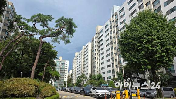 서울 강남구 개포동 아파트 단지 전경.[사진=아이뉴스24 DB]