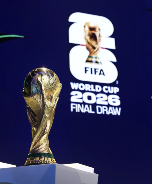 [사진] FIFA 홈페이지