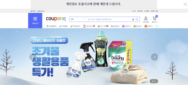 쿠팡 홈페이지 캡처.