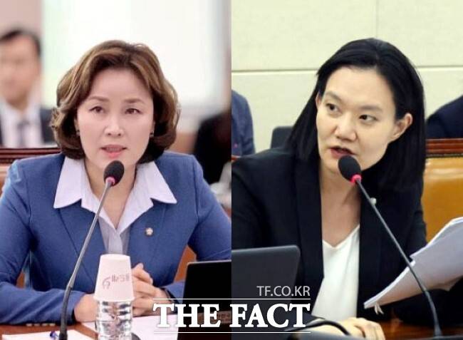 임오경(왼쪽)·김남희 국회의원. /더팩트 DB