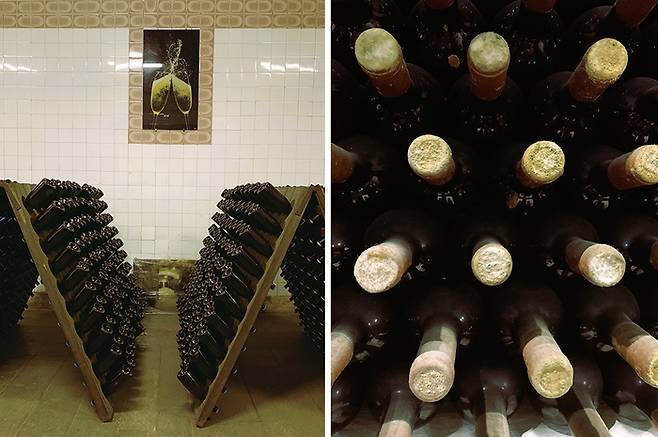 (좌)스파클링 와인 숙성 공간 (우)빈티지 와인 코르크 마개를 덮은  곰팡이균