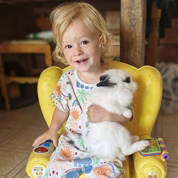 그리스의 휴양지 자킨토스에서 피트불에게 공격을 받아 사망한 2살짜리 레온. [SNS 캡처]