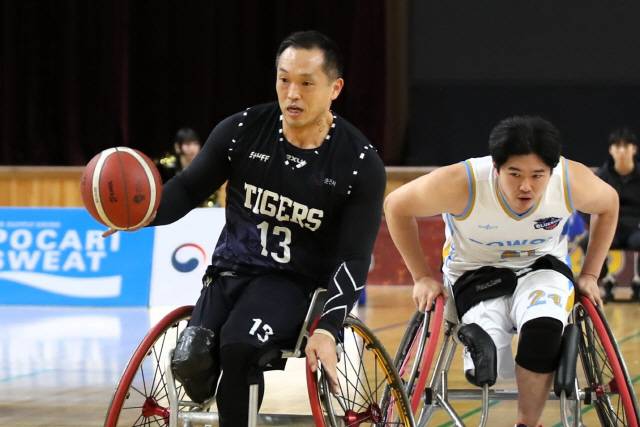 ▲ 춘천타이거즈 후지모토 레오가  4일 경기 남양주문화체육센터에서 열린 코웨이블루휠스와 2025 KWBL 휠체어농구리그 챔피언결정전 최종전에서 드리블을 시도하고 있다.  한국휠체어농구연맹 제공