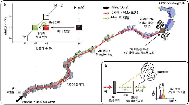 원자핵 생성과 감마선 측청 실험 과정, 몰리브덴-84와 몰리브덴-86의 구조를 밝히기 위해 진행한 실험의 전체 흐름을 보여준다. (a) 몰리브덴-92 빔이 1차 베릴륨(Be) 표적과 충돌하며 몰리브덴-86을 비롯한 여러 원소를 생성한다. 이 가운데 분리·선택된 몰리브덴-86 빔을 다시 2차 베릴륨 표적에 충돌시켜 몰리브덴-86과 몰리브덴-84의 들뜬 상태를 만들어낸다. (b) 들뜬 상태의 핵은 감마선을 방출하며 바닥상태로 돌아가는데, 이 때 나오는 감마선을 GRETINA 저마늄 검출기 어레이로 검출한다. 빔이 매우 빠르게 이동하기 때문에(빛의 약 30%) 감마선에는 도플러 효과가 생기며, 이를 보정하면 그림처럼 두 핵에서 나온 신호를 구분해 분석할 수 있다. IBS