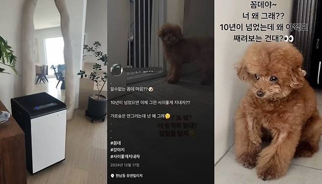 박나래 주사이모 이모씨가 샤이니 키 집에서 찍은 것으로 추정되는 사진과 영상.