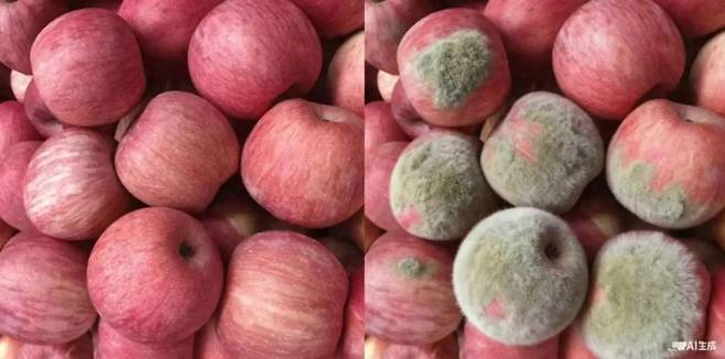 [지무뉴스 캡처]