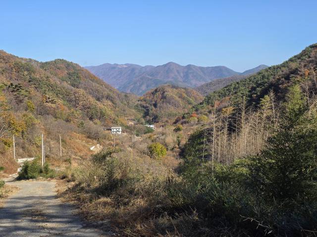 중태골.
