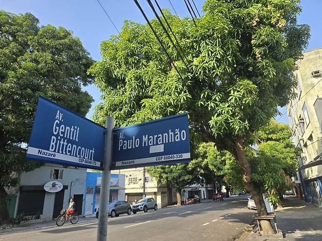 올해 11월 중순 브라질 벨렝 거리에 울창한 망고나무가 그늘을 만들고 있다. 제30차 유엔기후변화협약 당사국총회(COP30) 개최지였던 브라질 벨렝은 가로수로 가득 심은 망고나무로 ‘망고의 도시’라고 불린다. 벨렝/옥기원 기자 ok@hani.co.kr