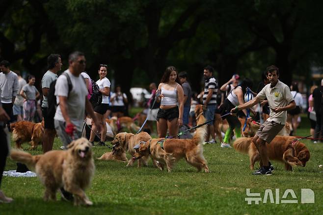 [부에노스아이레스=AP/뉴시스] 8일(현지 시간) 아르헨티나 부에노스아이레스 팔레르모 공원에서 열린 세계에서 가장 많은 골든 리트리버가 한자리에 모이는 세계 기록 도전 행사에 참가한 참가자들이 반려견과 산책하고 있다. 2025.12.09.