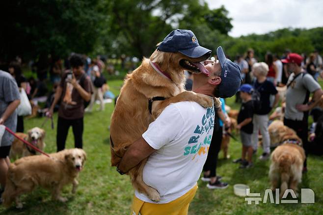 [부에노스아이레스=AP/뉴시스] 8일(현지 시간) 아르헨티나 부에노스아이레스 팔레르모 공원에서 열린 세계에서 가장 많은 골든 리트리버가 한자리에 모이는 세계 기록 도전 행사에 참가한 참가자들이 반려견과 즐거운 시간을 보내고 있다. 2025.12.09.