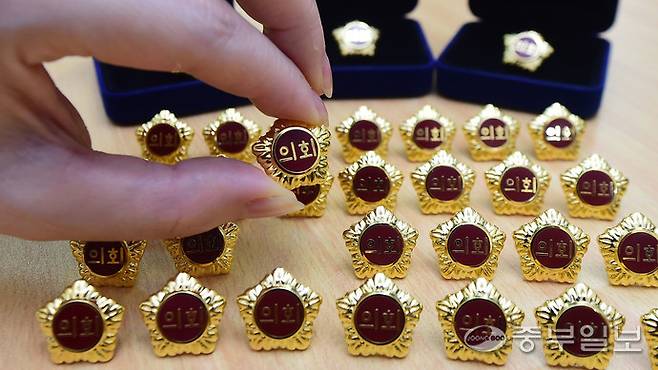 기초의회 배지. 사진=중부DB