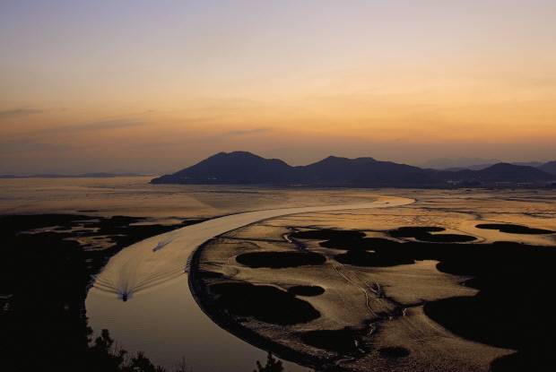 순천만습지 전경.  <전남도 제공>