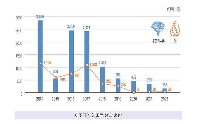 생산량이 급감한 제주지역 해조류 생산 현황.