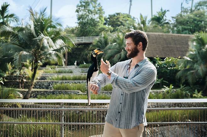 조류공원의 인기 스타인 오리엔탈 흰뺨큰뿔새 ‘샐리(Sally)’ 등 하늘을 누비는 또 다른 주역들과 반가운 인사를 나누는 코런스웻