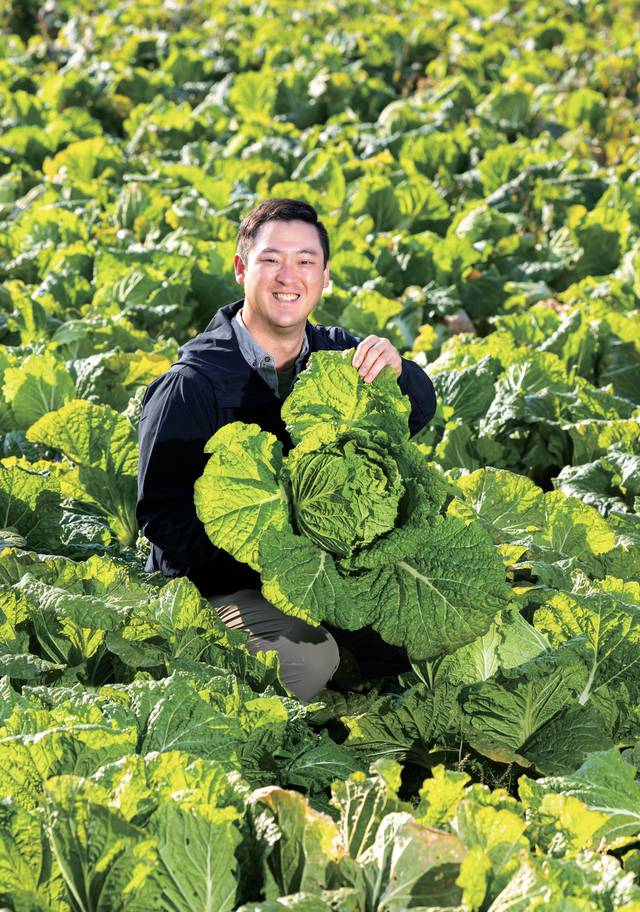 2021년에 귀농한 김성은 씨는 1만 3200㎡ 규모의 배추 농사를 짓고 있다.