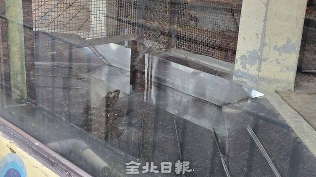 파충류사 내 악어의 모습. /김문경 기자