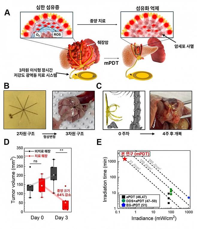연구팀이 개발한 3차원 장시간, 저강도 광역동치료 시스템 개요. KAIST 제공