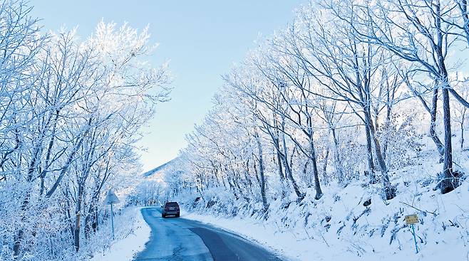 별구름길이 넘어가는 강원 정선의 만항재는 겨울 설경의 명소 중 명소다. 제설작업이 워낙 신속하게 이뤄지는 곳이라 ‘싱싱한 설경’을 볼 수 있다.