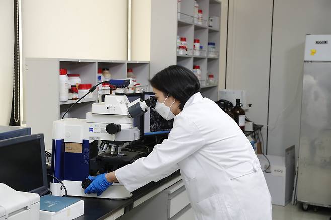 hy 중앙연구소에서 연구원이 배양한 균주를 살펴보고 있다. /hy 제공