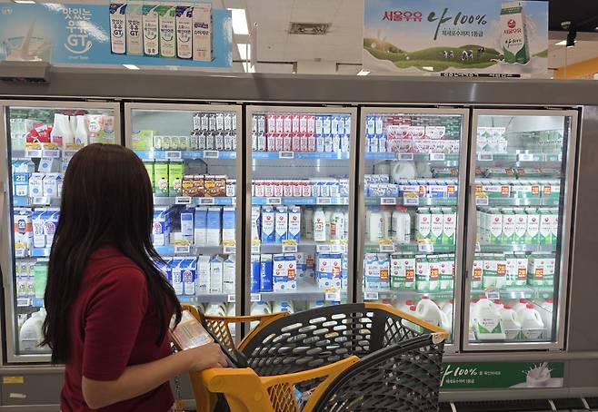 한 주부가 마트에서 우유를 고르고 있다.  /고윤상 기자