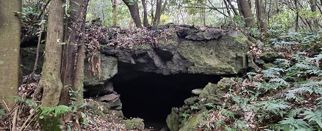 영화 ‘한란’ 속 피난동굴 저지곶자왈 내 ‘볏바른궤’는 제주올레길 14-1코스를 걷다보면 만날 수 있다. 곶자왈 깊숙한 곳에 위치해 있어 당시 토벌대를 피해 은신하는데 도움을 준 것으로 보인다. 제주 강동삼 기자