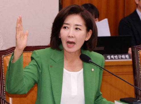 나경원 국민의힘 의원. (사진=뉴시스)