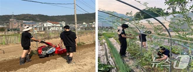 교내 4-H포 경운작업(왼쪽)과 수박 유인작업(전남도교육청 제공, 재판매 및 DB 금지)/뉴스1