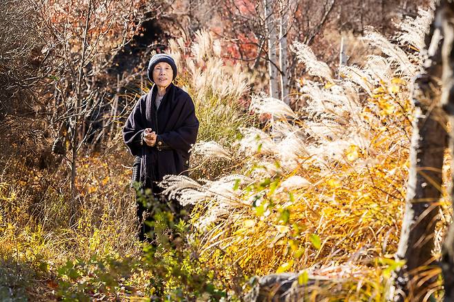 정영선 조경가의 자택은 경기도 양평에 있다. 다정한 산세 끝에 있어 산과 정원이 하나인듯 보인다. 그는 "이곳은 정원이라기보다는, 우리나라 전통 나무나 풀 같은 것들이 왔다갔다 하는 곳"이라고 했다. /양수열 영상미디어 기자