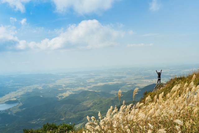 국립오서산자연휴양림 억세. 사진제공=보령시