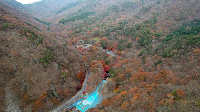 성주산자연휴양림