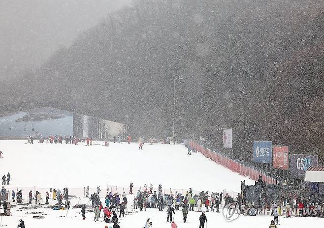 폭설, 오히려 좋아 (춘천=연합뉴스) 양지웅 기자 = 전국 곳곳에 많은 눈이 예보된 13일 강원 춘천시 엘리시안강촌 스키장에서 많은 스키어·스노보더가 폭설 속에 슬로프를 내려오며 겨울을 즐기고 있다. 2025.12.13 yangdoo@yna.co.kr