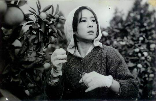 작품 700여편에 출연하며 한국 영화계를 이끈 원로 영화배우 고 김지미(본명 김명자)가 별세했다. 향년 85세. 사진은 영화 '인생은 나그네길'에 출연한 배우 김지미 모습. 한국영상자료원 KMDb 캡처.