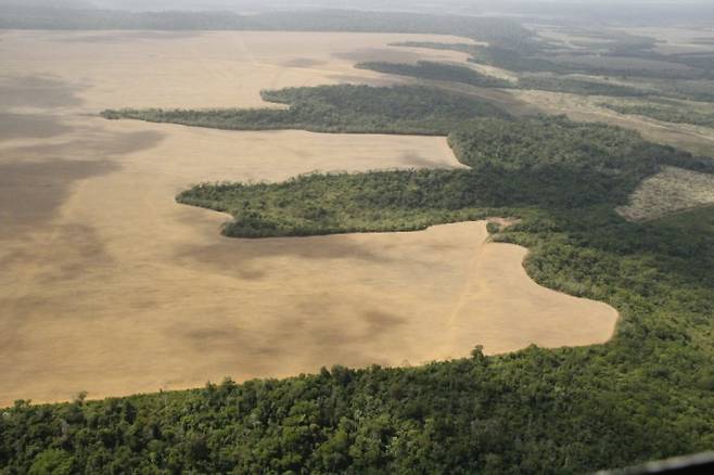 대두 농장으로 파괴된 아마존 열대우림. 어린이과학동아 제공&nbsp;