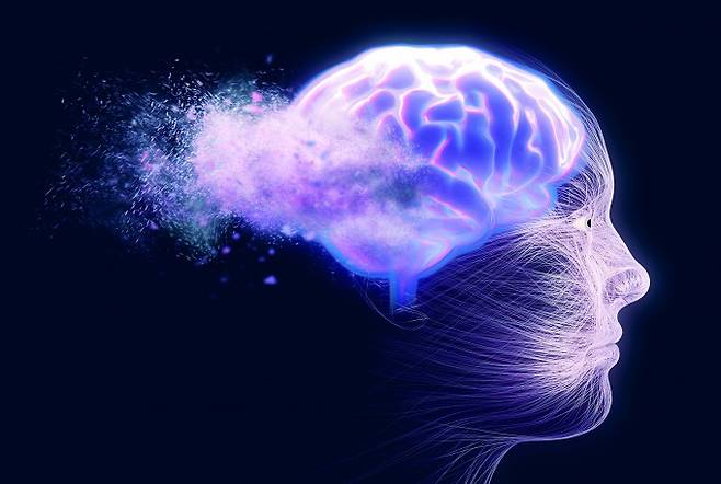 KAIST 연구진이 전두엽의 독특한 정보 처리 방식이 ‘뇌처럼 유연하고 안정적인 인공지능(AI)’를 만들 핵심 열쇠임을 규명했다.&nbsp;게티이미지뱅크 제공