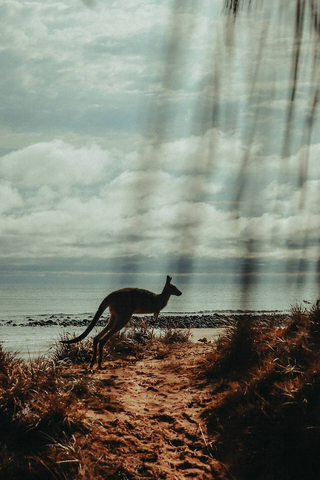 터틀 샌즈, Canon EOS R1 Ⓟ최아람(@aram.workroom)