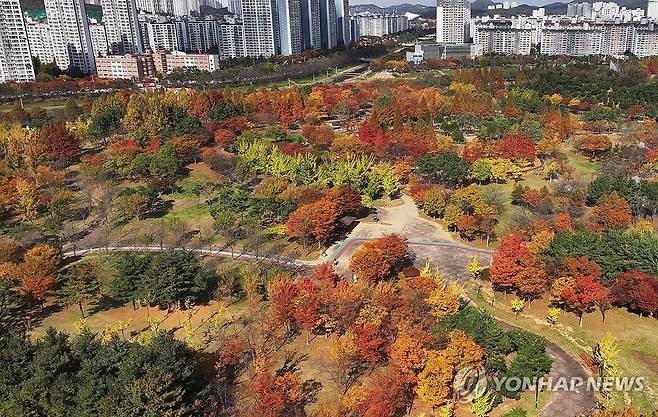 안산 호수공원 [연합뉴스 자료 사진]