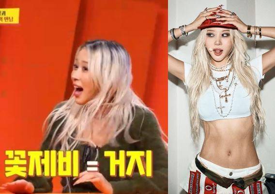 다영이 마른 몸매로 인해 꽃제비라는 말을 들었다. 사진=KBS 2TV '사장님 귀는 당나귀 귀' 방송화면 캡처/다영 인스타그럄