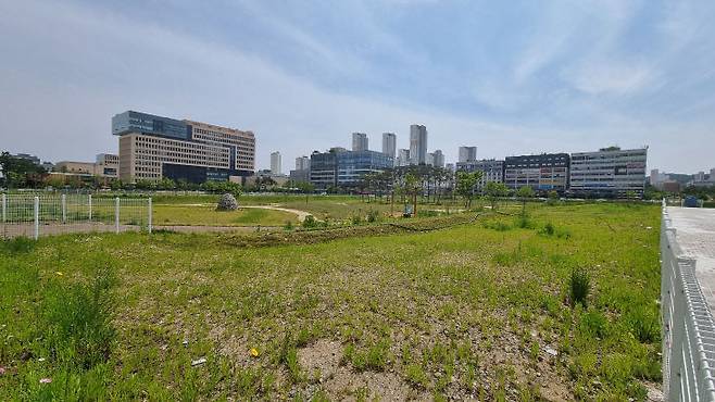 나성동 백화점 부지 전경.