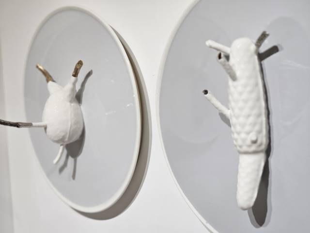 김은정 작가 작품. 갤러리마레 제공